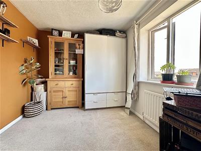 Picture 7